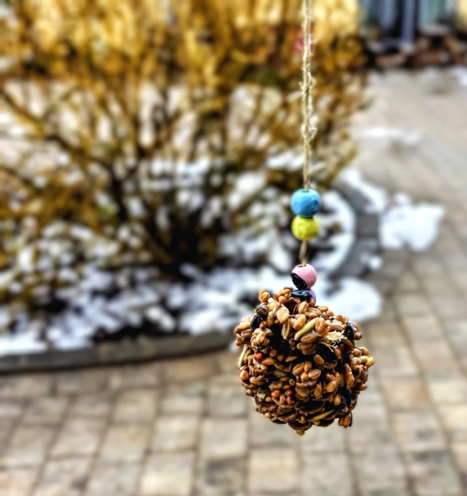 Projekte_Vogelfutter 2